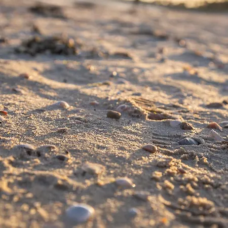 Wohnen Am Suedstrand - 1 2
