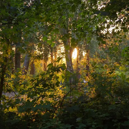 Wohnen Am Suedstrand - 1 2